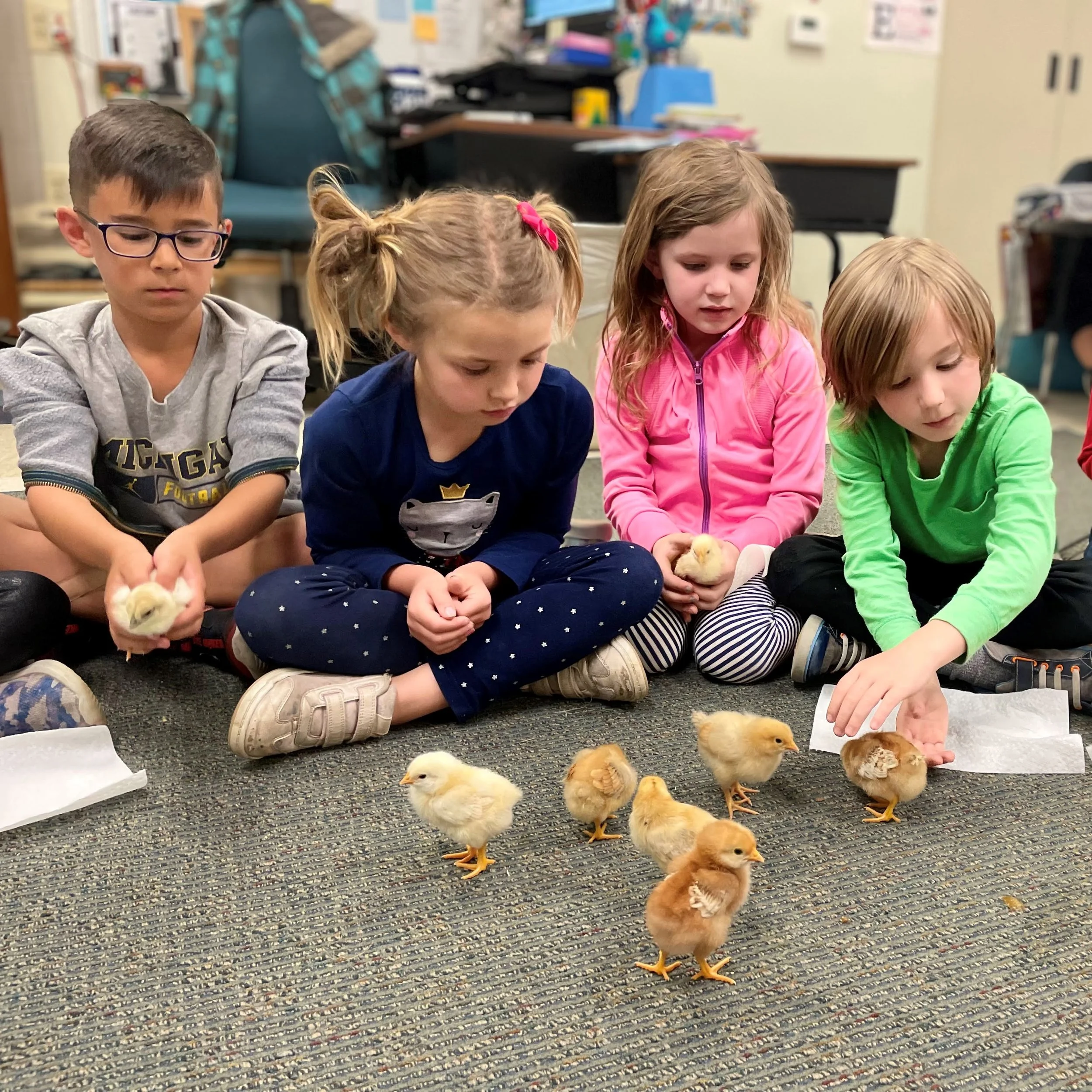 Why did the egg go to school? — Bowers Farm